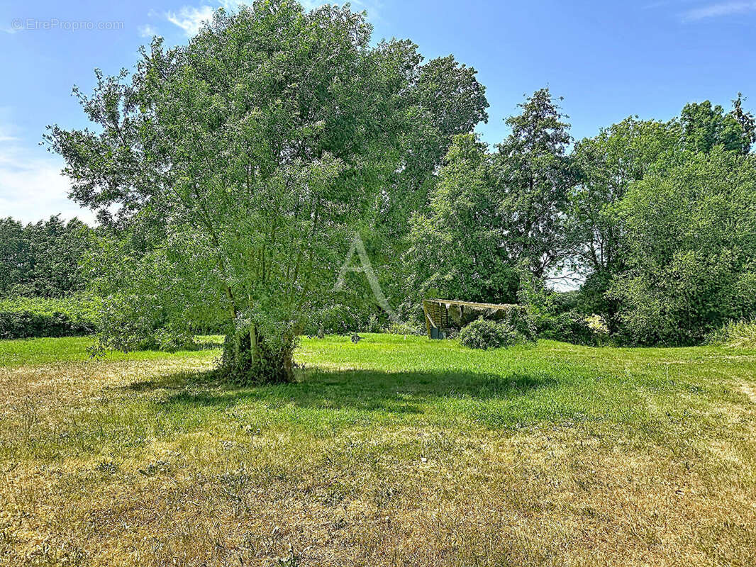 Une maison de caractère dans un environnement privilégié à Beaufort en Anjou - photo 15