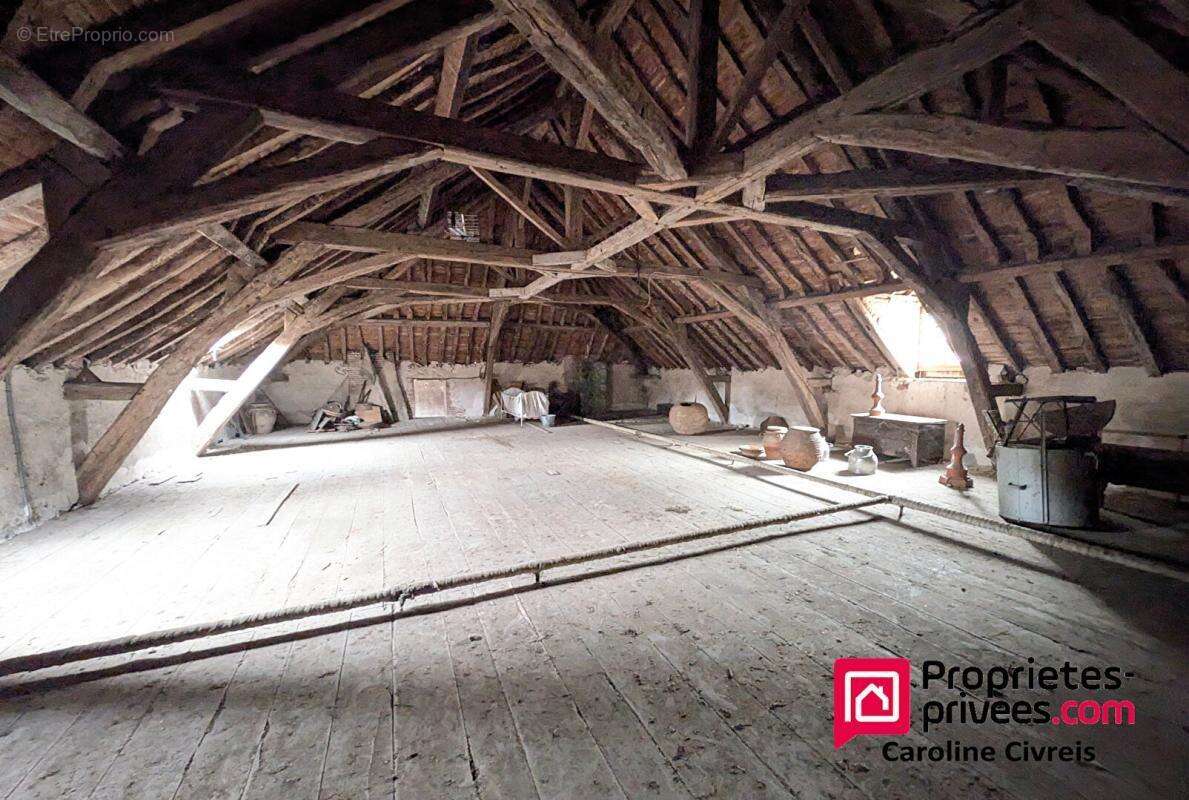 Maison de maitre avec annexes et prés potenteils . Habitation et profession libérale - photo 10