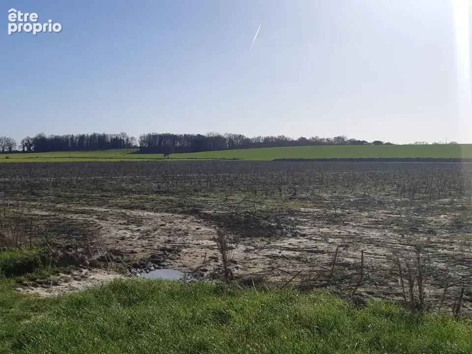 Terrain 447 m² à vendre à Grenade (31330) - photo 3