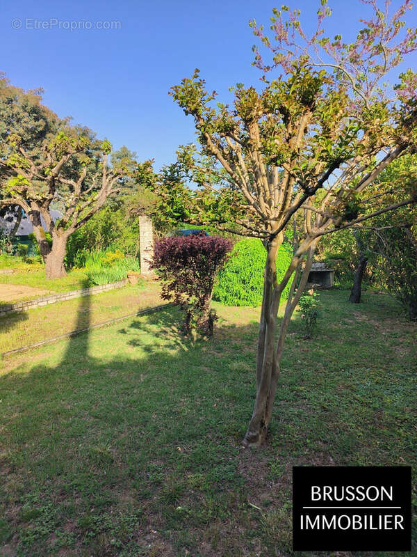 Maison 72 m² à Saix  - photo 8