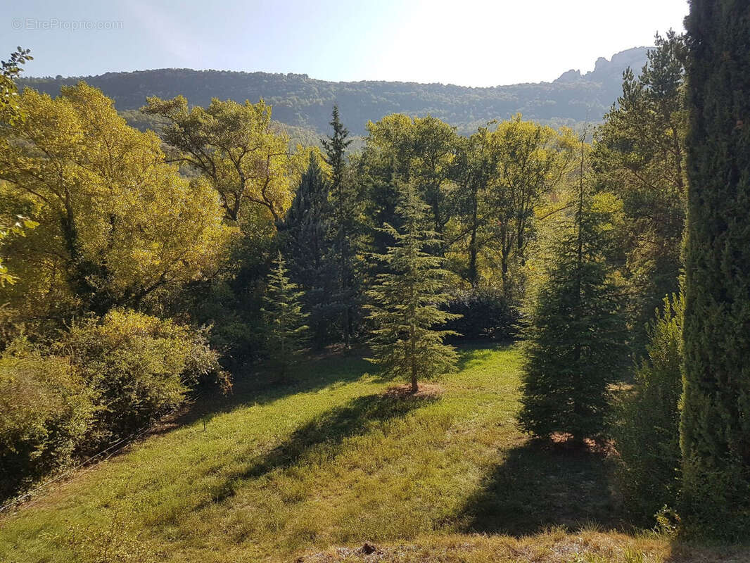 Terrain à LA ROCHE-SUR-LE-BUIS