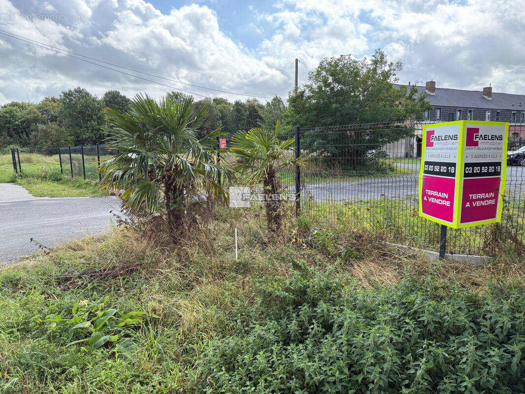 Terrain à VILLENEUVE-D'ASCQ