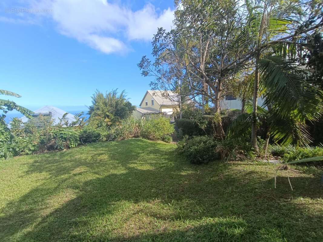 Terrain à PETITE-ILE