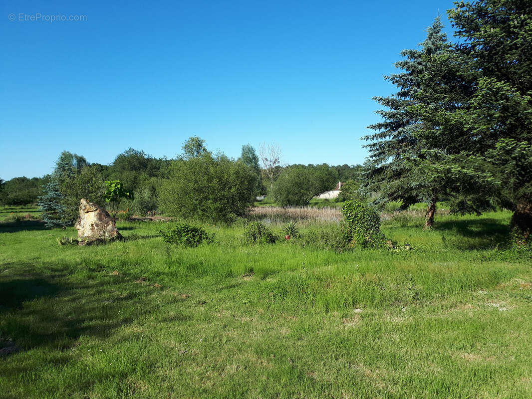 Maison à LES ORMES