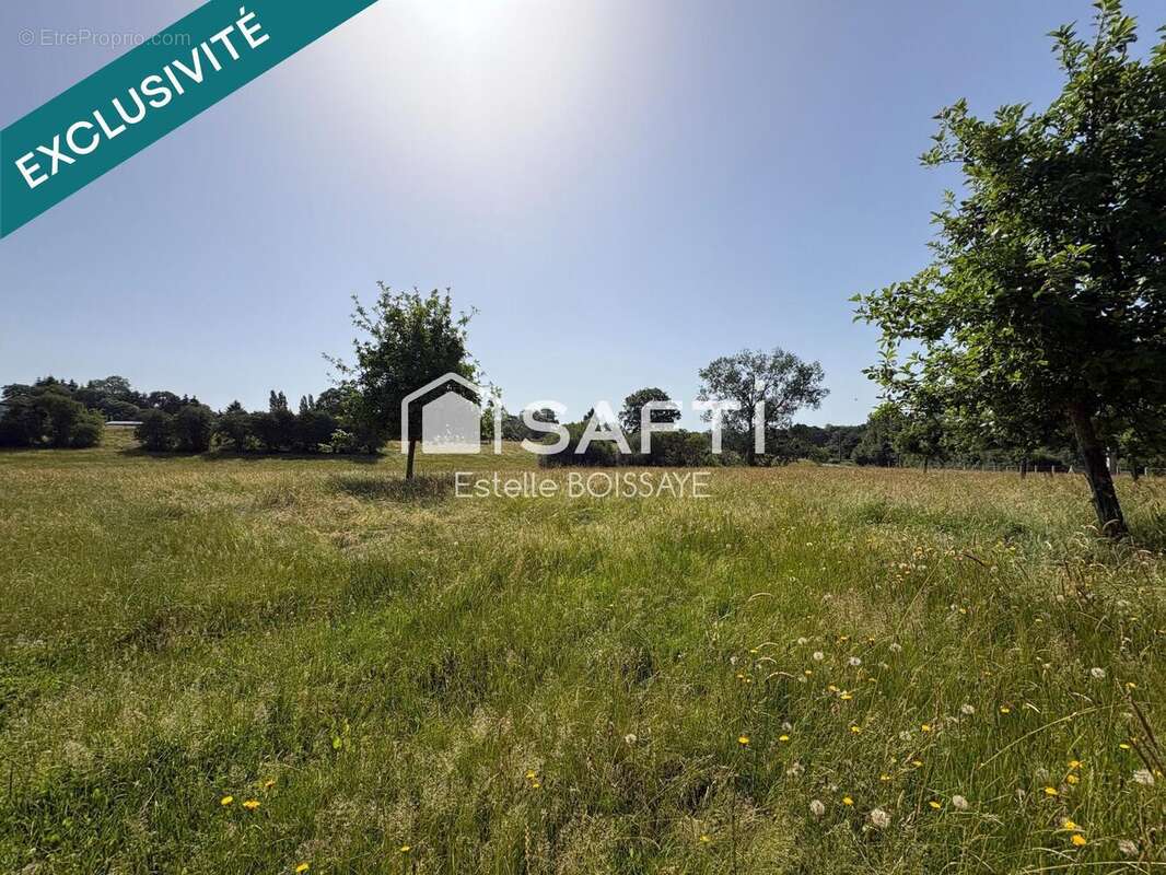 Maison 70 m² à Le Mesnil-Auzouf  - photo 4
