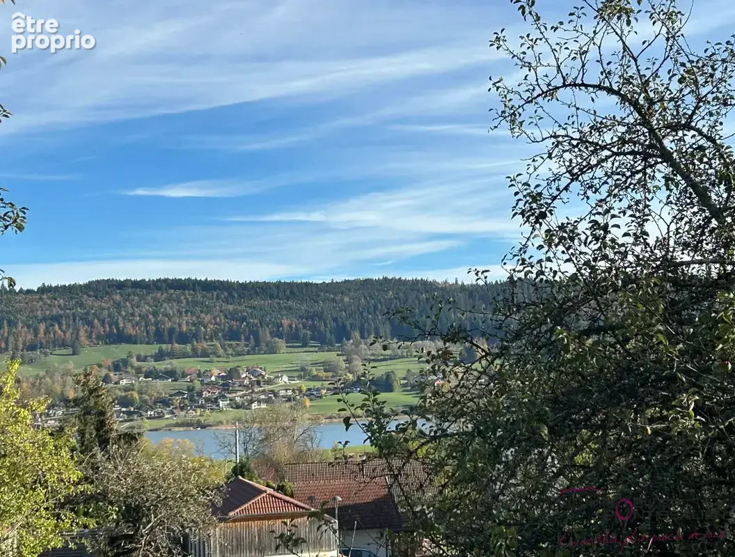 Les grangettes - un cadre d'exception avec vue sur le lac saint-point. - photo 2