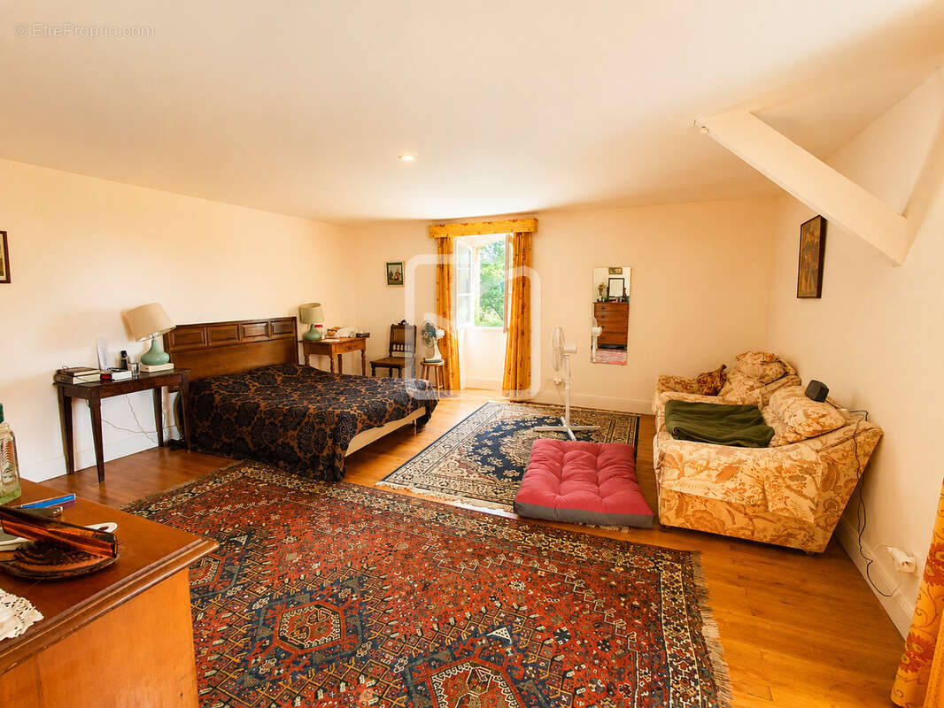 Maison T5 avec piscine, 4 chambres - étang - dépendances et plus de 2,14 hectares de terrain - Un cadre de vie - photo 21