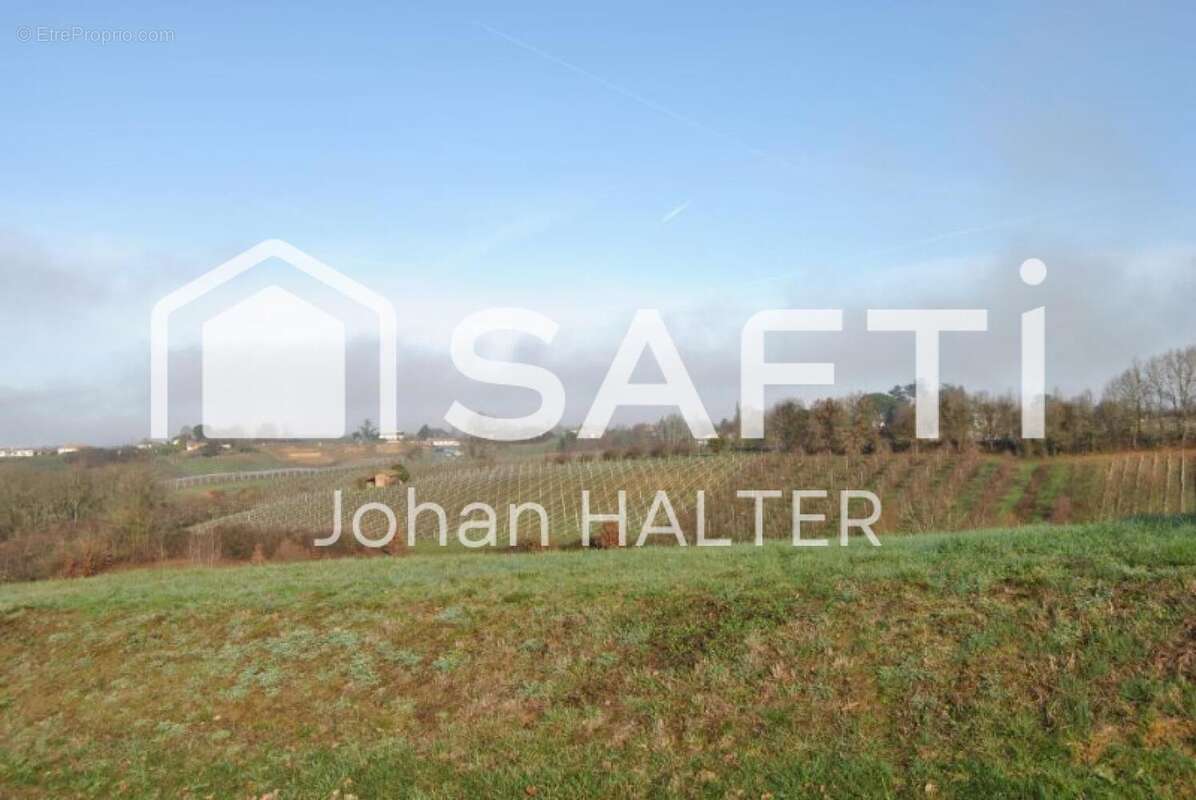 Photo 2 - Terrain à MOISSAC