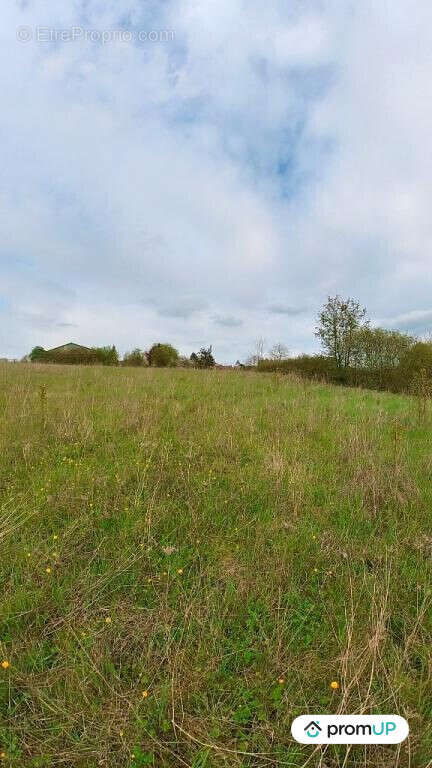 Terrain à MONTMIRAIL