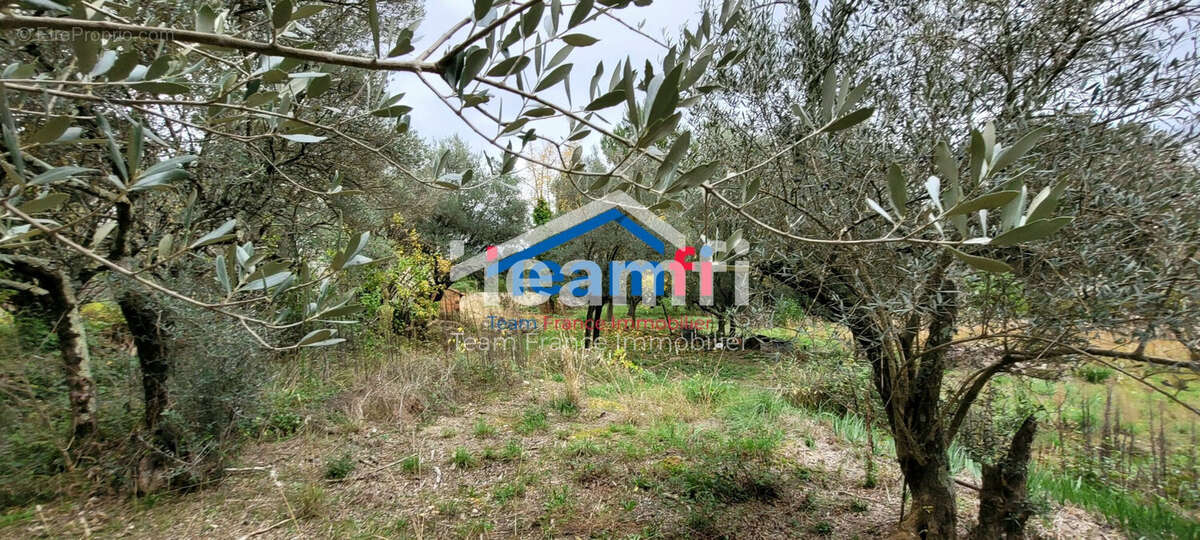 Maison à BOISSET-ET-GAUJAC