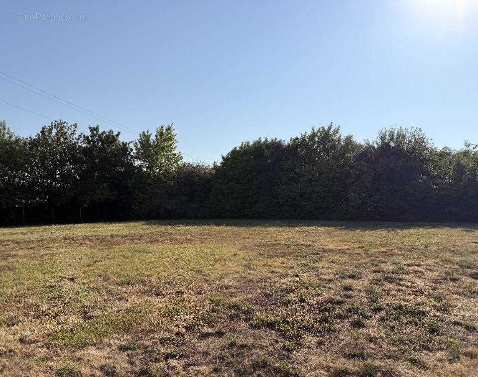 Photo Terrain à Loubens-Lauragais au prix de 97 000€
