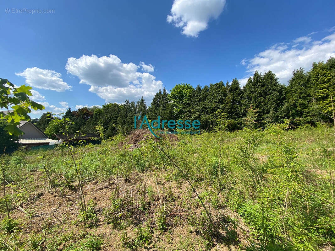 Terrain à MONTALET-LE-BOIS