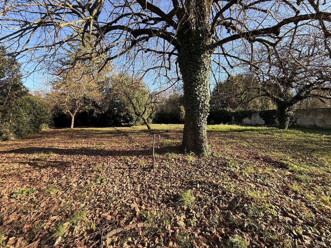 Maison à SALLES-DE-VILLEFAGNAN