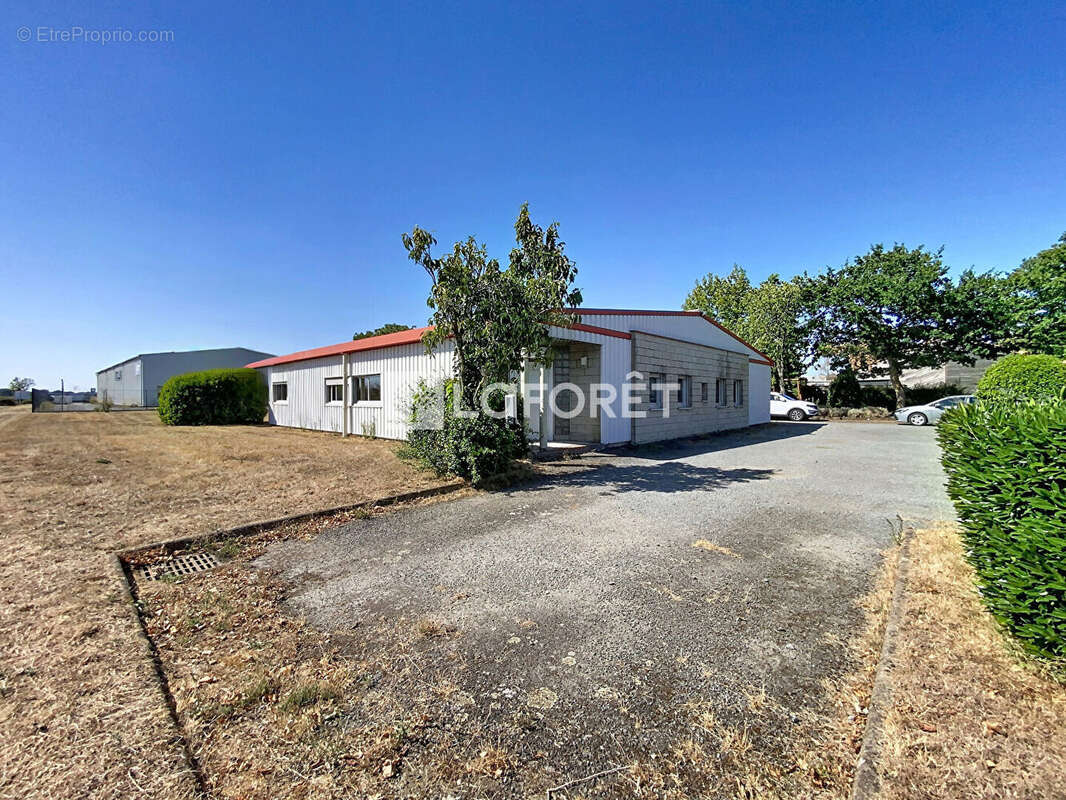 Bâtiment Toutlemonde 275 m2 - photo 8