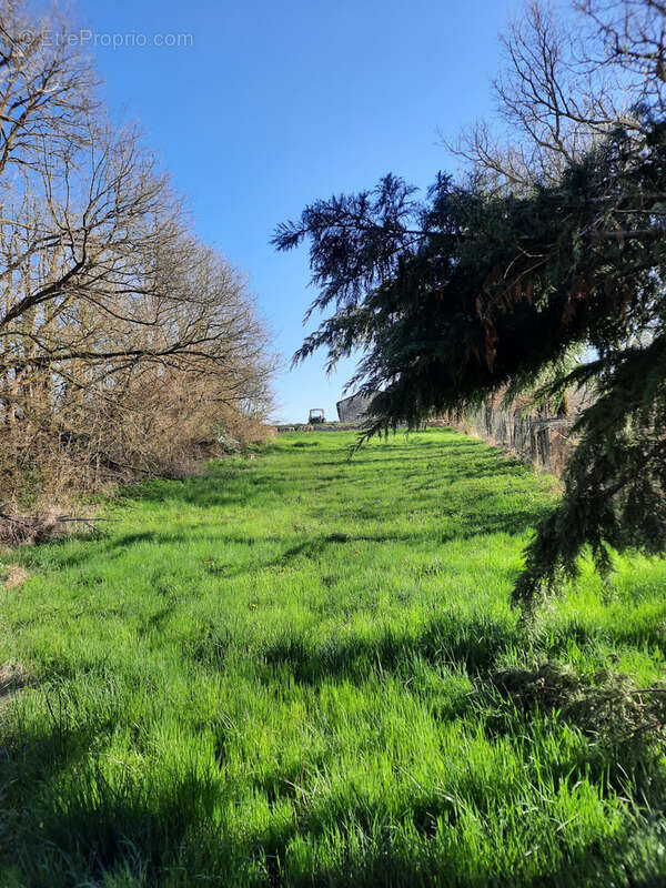 Terrain à SAINTE-EULALIE-DE-CERNON