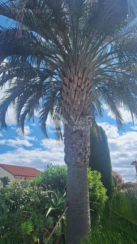 Maison à ARGELES-SUR-MER