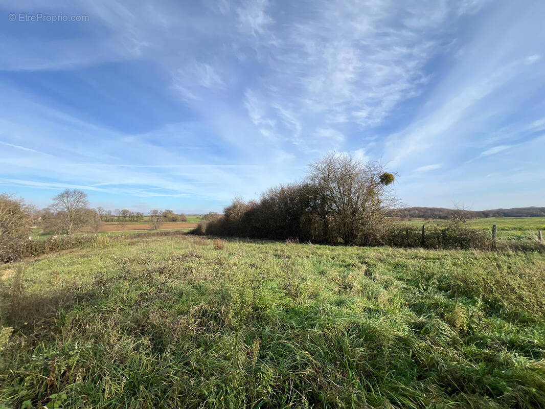 Terrain à SOISSONS-SUR-NACEY
