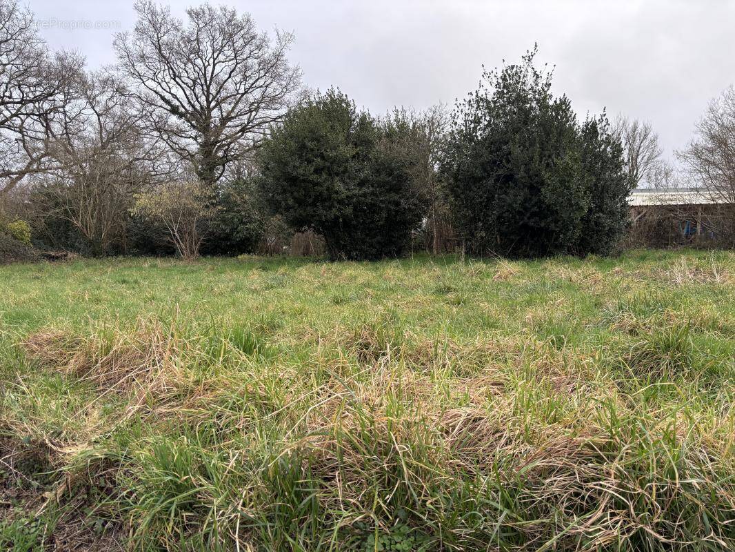 Terrain à PONTCHATEAU