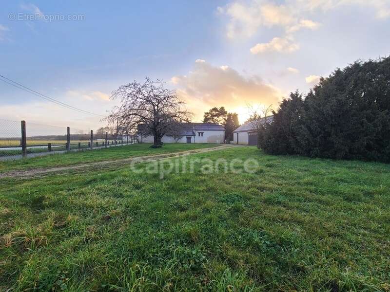 Terrain à JOUE-LES-TOURS
