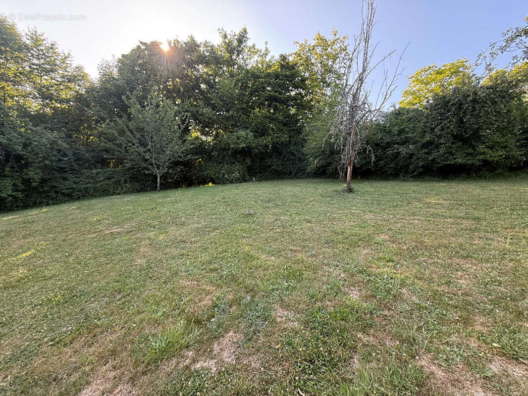 Terrain à CHEVREUSE