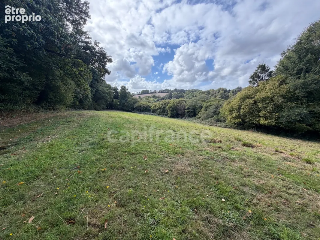 EXCLUSIVITÉ - TREBRIVAN - Maison avec terrain de plus de 2 hectares et dépendances à vendre 5 pièces  (22) - photo 4