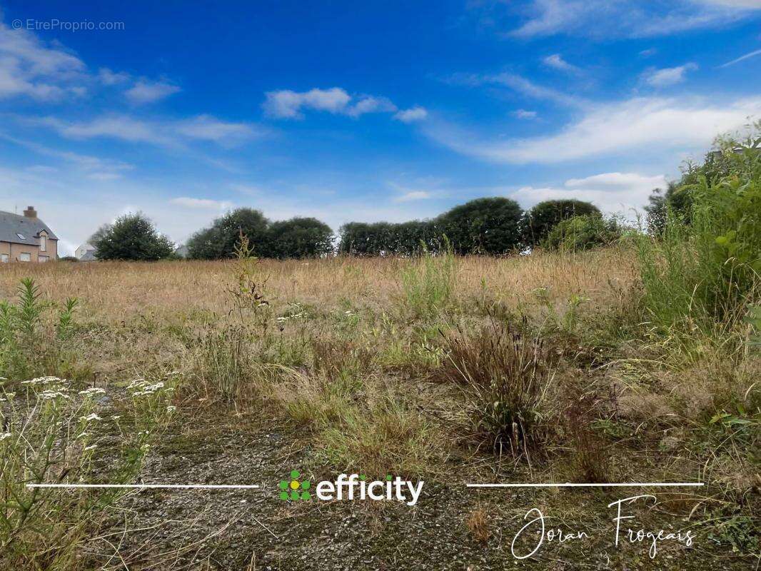Terrain à LES LOGES-MARCHIS