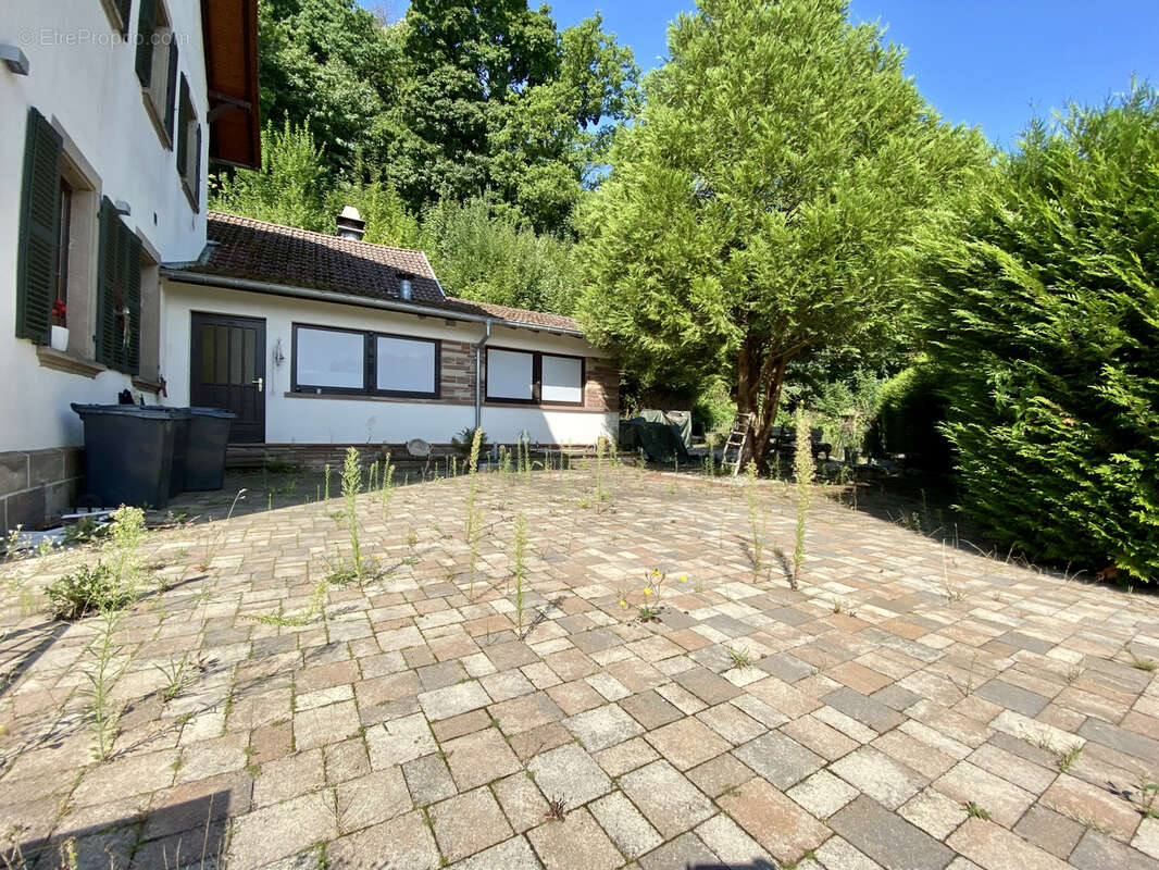 Maison à ADAMSWILLER