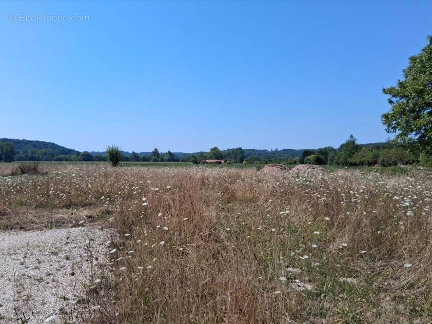 Terrain à SERRES-ET-MONTGUYARD