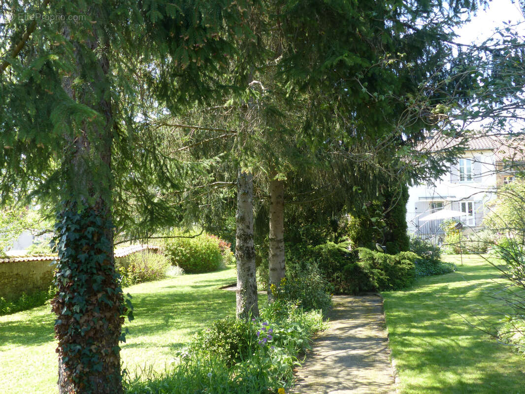 Maison à BELLAC