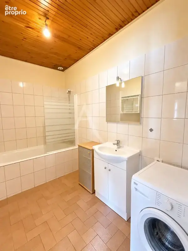 Locatifs à Champagné Les Marais - photo 10