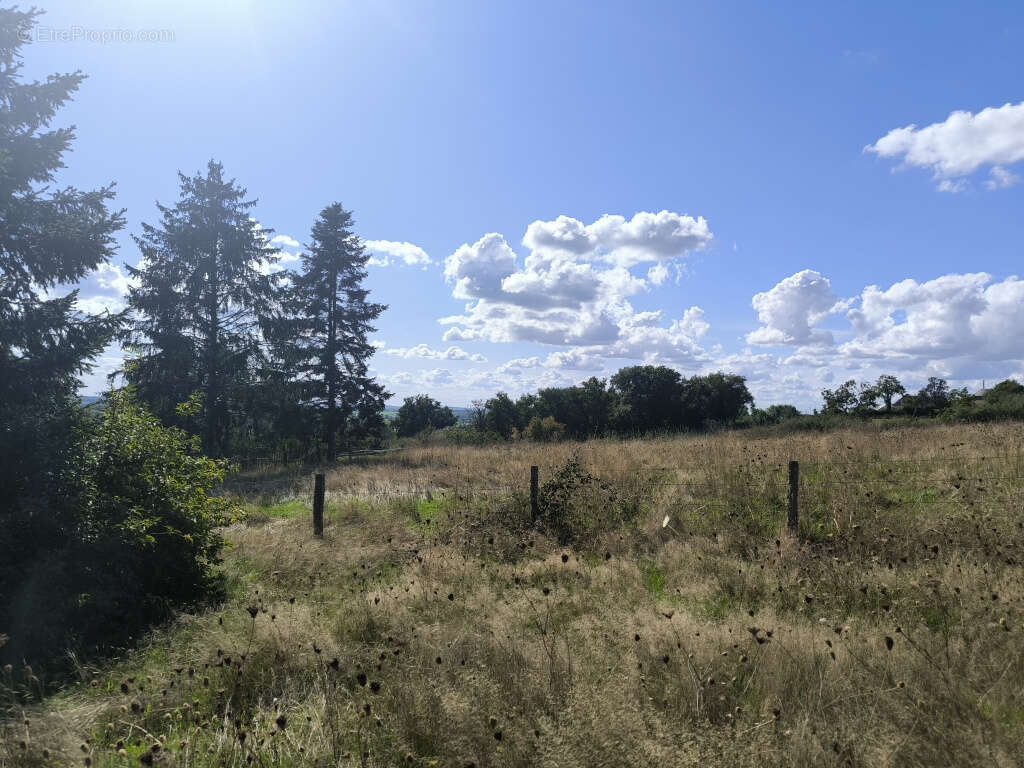 Maison à SAINT-PEREUSE