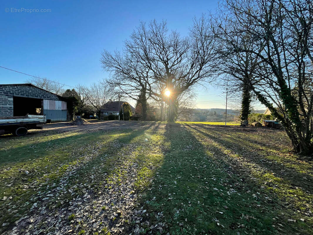 Terrain à AIXE-SUR-VIENNE
