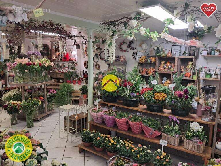 Appartement à MURAT