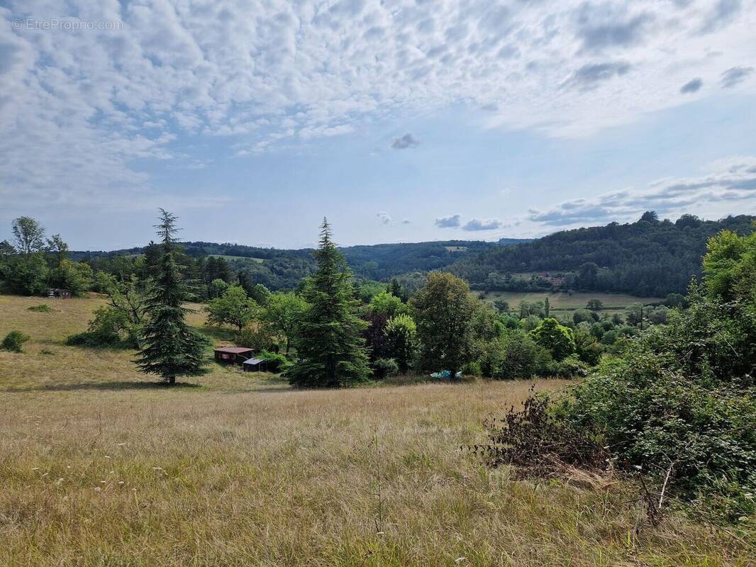 20240806165339 - Terrain à ROUFFIGNAC-SAINT-CERNIN-DE-REILHAC