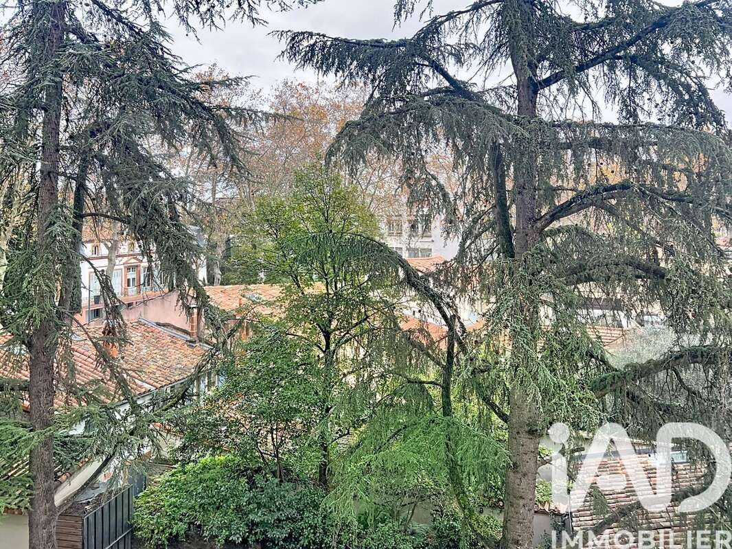 Photo 8 - Appartement à TOULOUSE