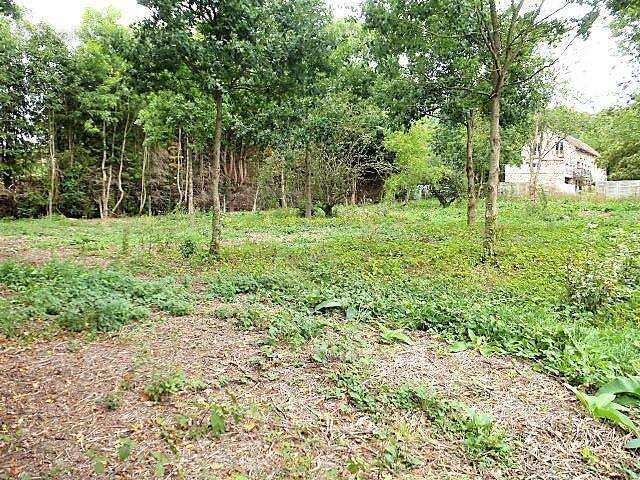 Terrain à SAINT-REMY