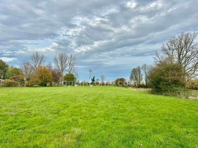 Terrain à MONCHY-BRETON