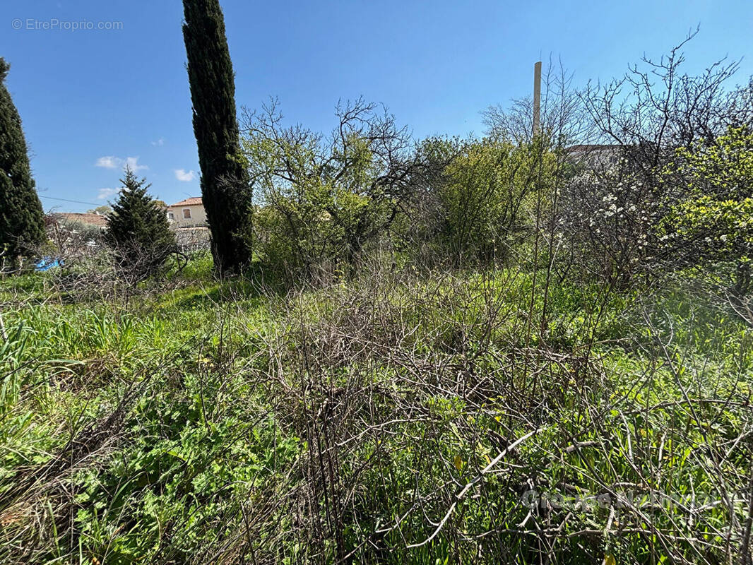 Terrain à MIRAMAS