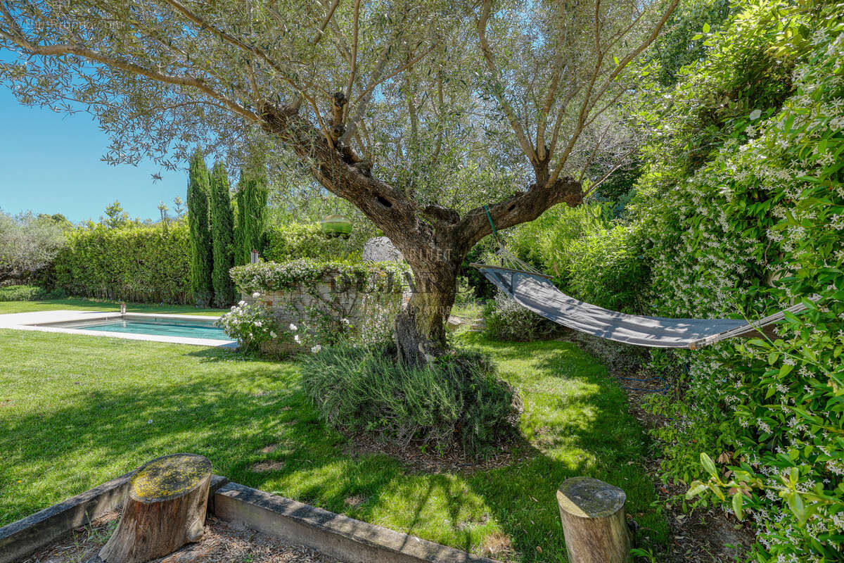 Maison à SAINT-TROPEZ