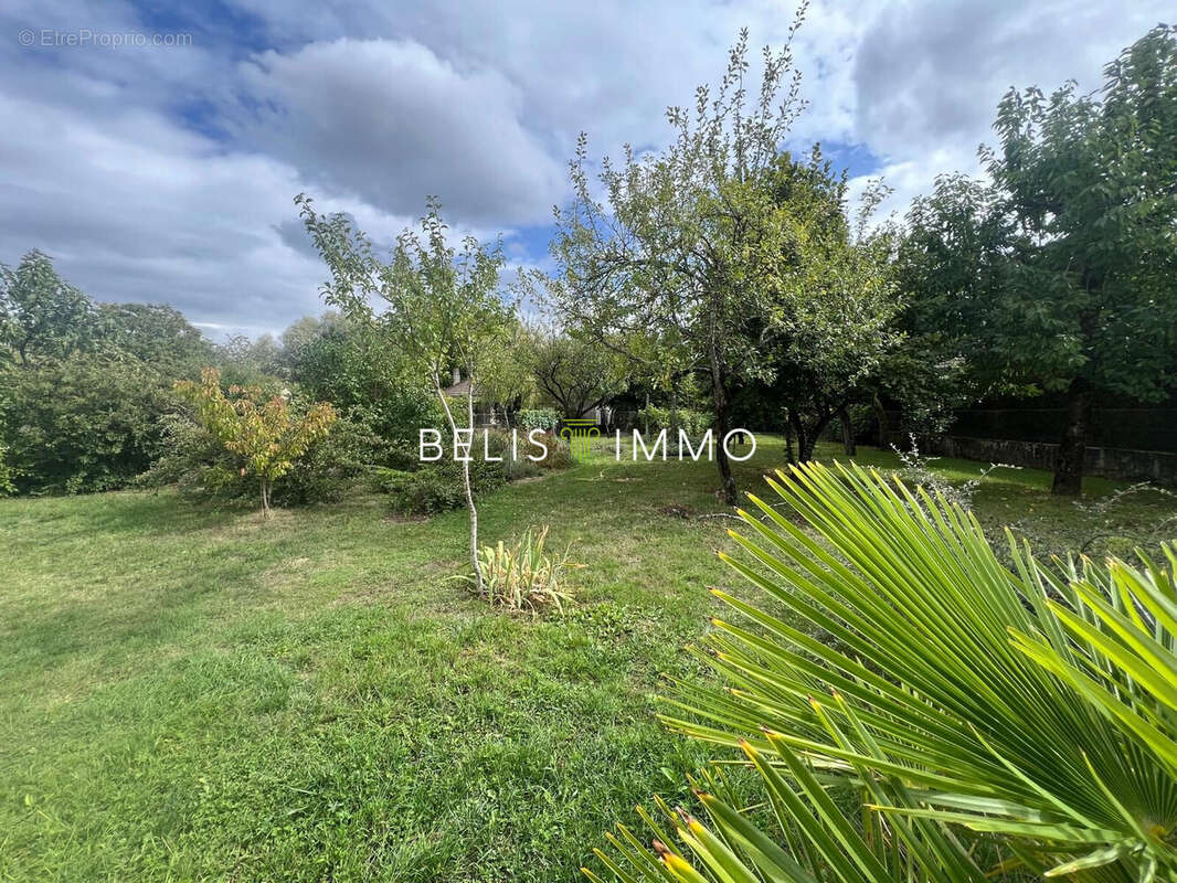 Terrain à BALLAN-MIRE