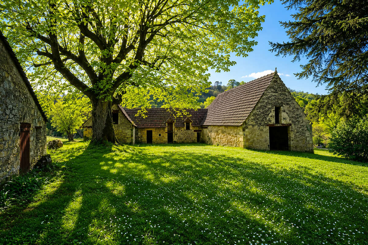 Propriété d'exception  hameau de charme du xviii siècle au coeur du périgord noir - photo 3