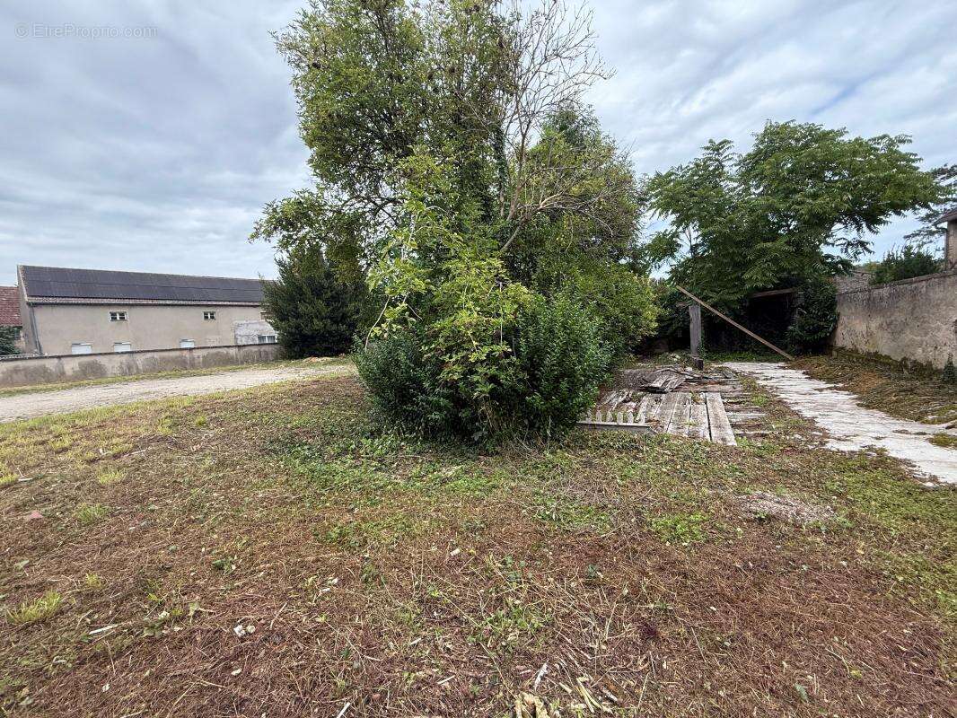 Terrain à LONGECOURT-EN-PLAINE