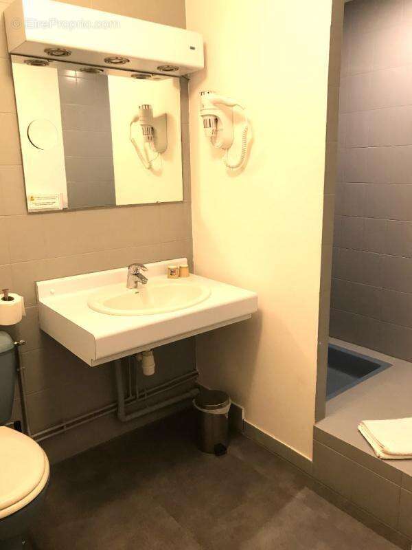 Commerce à SELONNET