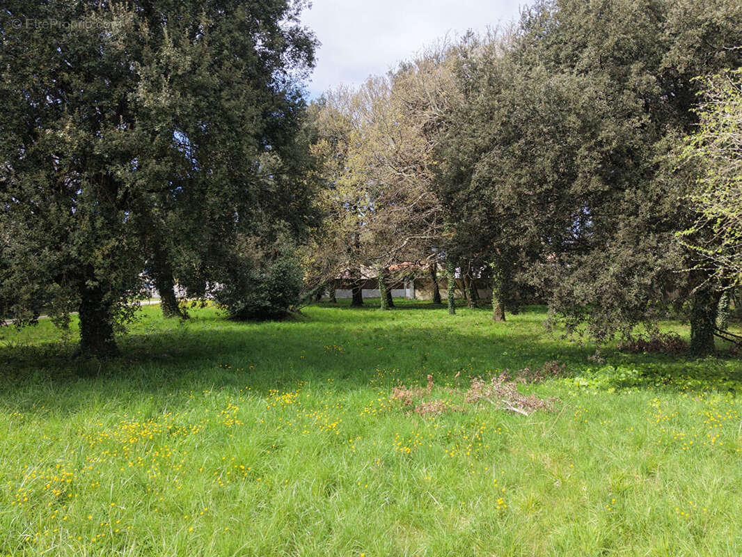 Terrain à MESCHERS-SUR-GIRONDE