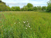 Terrain à MONTENEUF