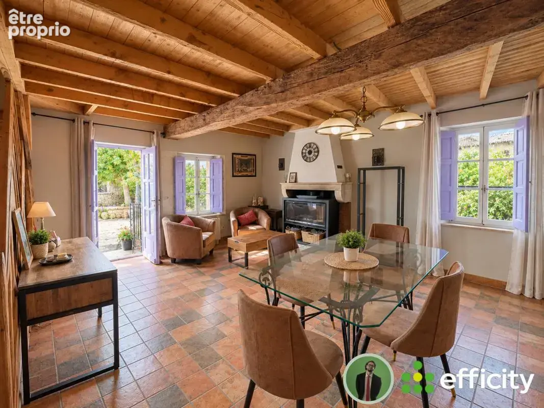Maison 13 pièces 320 m² à vendre à Lagnieu (01150) - photo 4