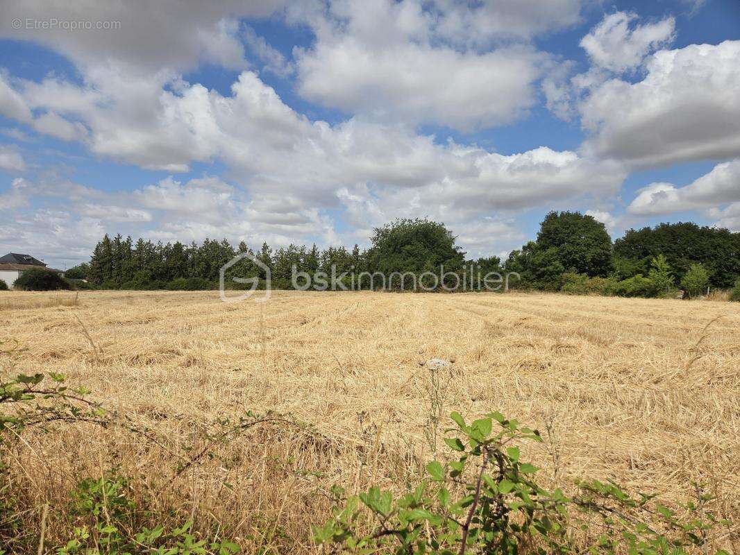 Terrain constructible - photo 5