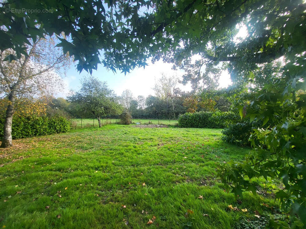 Terrain à SAINT-MARCEL