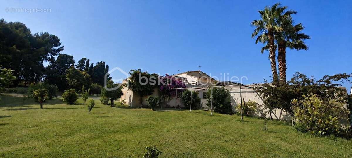 RARE !!!Aux portes de Montpellier et du bassin de Thau, propriété avec maison de 233m2 au coeur de 5000m2 constructible - photo 8