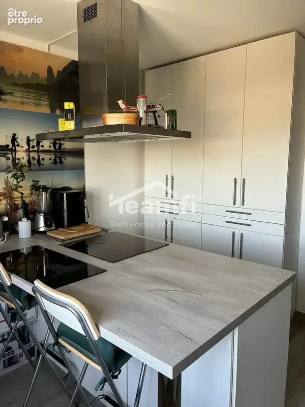 Appartement 3 pièces 79 m² à vendre à Lyon-3e (69003) - photo 8